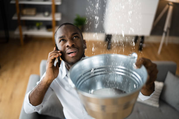 Best Mold removal after water damage  in Crandall, TX