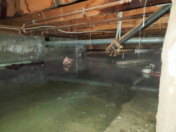 Best Emergency water damage restoration  in Crandall, TX