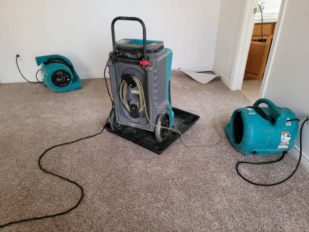 Best Water damage restoration near me  in Crandall, TX