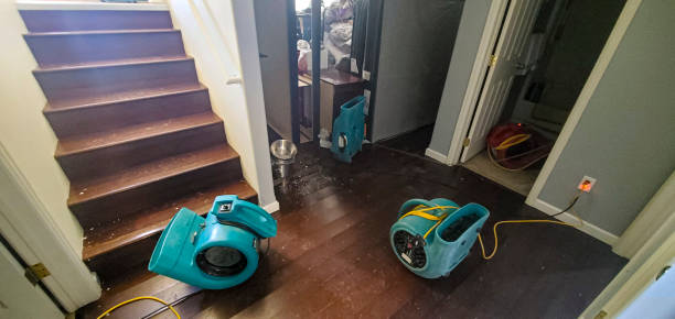 Best Water damage restoration near me  in Crandall, TX
