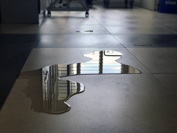 Reliable Crandall, TX Water damage restoration Solutions