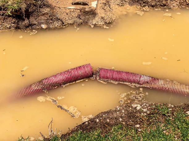 Best 24/7 water damage repair  in Crandall, TX