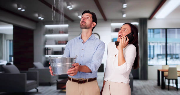 Best Water damage contractors near me  in Crandall, TX